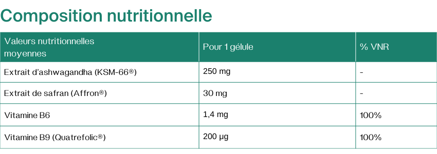 MENOCIA-BOUFFEES-CHALEUR-VNR