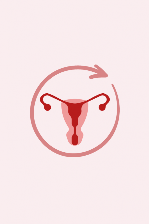 Cyce menstruel - règles