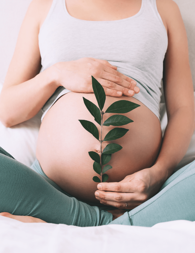 Conception